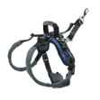 Picture of CARELIFT REAR SUPPORT HARNESS - Large