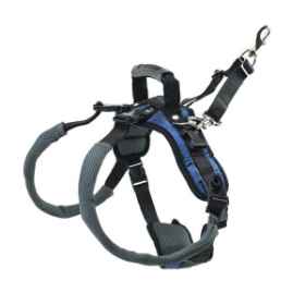 Show details for CARELIFT REAR SUPPORT HARNESS - Large Picture of CARELIFT REAR SUPPORT HARNESS - Large