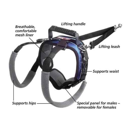 Picture of CARELIFT REAR SUPPORT HARNESS - Large