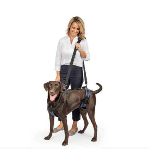 Picture of CARELIFT SUPPORT HARNESS - Large