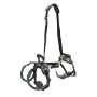 Picture of CARELIFT SUPPORT HARNESS - Medium
