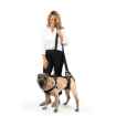 Picture of CARELIFT SUPPORT HARNESS - Medium