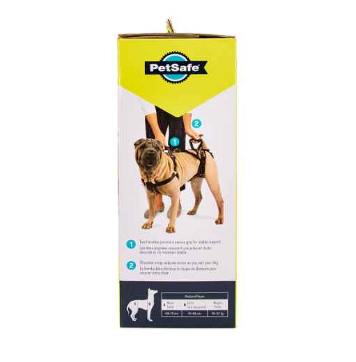 Picture of CARELIFT SUPPORT HARNESS - Medium