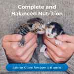 Picture of KMR KITTEN MILK REPLACER LIQUID - 16oz / 473mL