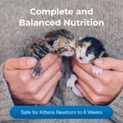 Picture of KMR KITTEN MILK REPLACER LIQUID - 16oz / 473mL