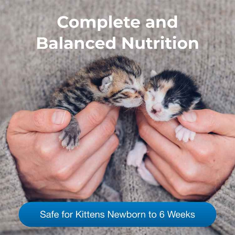 Picture of KMR KITTEN MILK REPLACER LIQUID - 16oz / 473mL