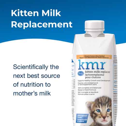 Picture of KMR KITTEN MILK REPLACER LIQUID - 16oz / 473mL