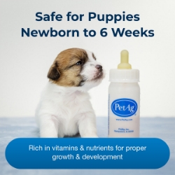 Picture of ESBILAC PUPPY MILK REPLACER LIQUID - 16oz / 473mL