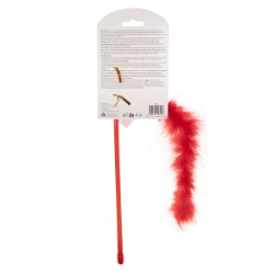 Picture of XMAS HOLIDAY CAT PAWISE TEASER - Santa