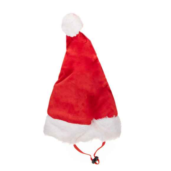 Picture of XMAS HOLIDAY CANINE PAWISE Christmas Hat