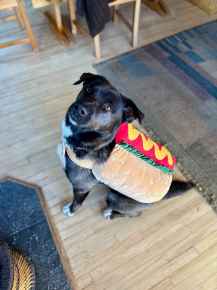 Picture for category Halloween