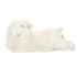 Picture of TOY DOG AFP LITTLE BUDDY Heart Beat Sheep