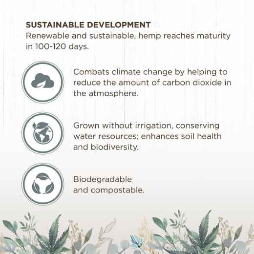 Picture of LIVING WORLD GREEN ULTRA COMFORT BEDDING Hemp - 10L