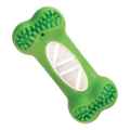 Picture of TOY DOG BRUSH ' N BITE - Green