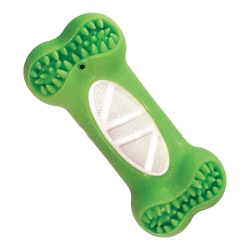 Picture of TOY DOG BRUSH ' N BITE - Green