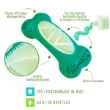 Picture of TOY DOG BRUSH ' N BITE - Green
