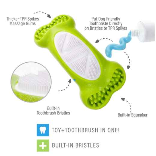 Picture of TOY DOG BRUSH ' N BITE - Green