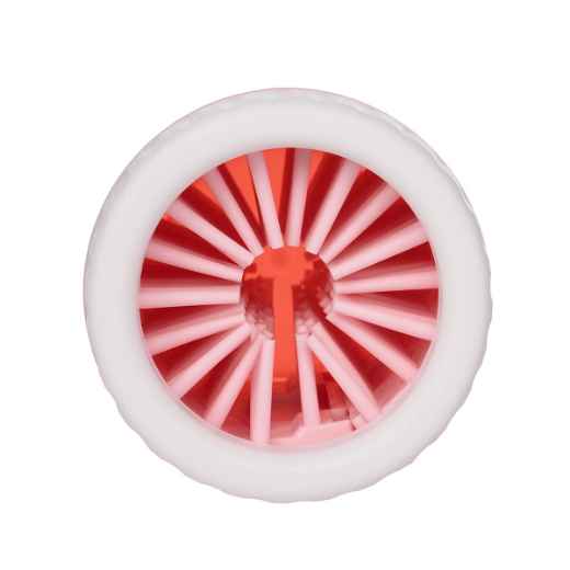 Picture of PAWISE PET FOOT WASHER - Small