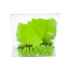 Picture of ALLFLEX A-TAG FEEDLOT V2 one piece NEON GREEN BLANK - 50/bag