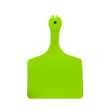 Picture of ALLFLEX A-TAG FEEDLOT V2 one piece NEON GREEN BLANK - 50/bag
