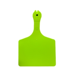 Picture of ALLFLEX A-TAG FEEDLOT V2 one piece NEON GREEN BLANK - 50/bag