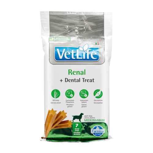Picture of TREAT CANINE VETLIFE Renal + Dental Med/Maxi - 100g(short dated)(so)