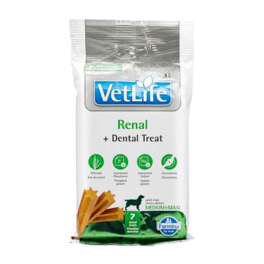 Picture of TREAT CANINE VETLIFE Renal + Dental Med/Maxi - 100g