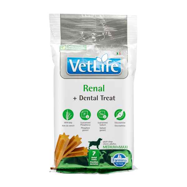 Picture of TREAT CANINE VETLIFE Renal Med/Maxi - 100g