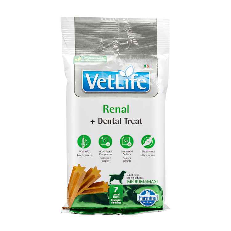 Picture of TREAT CANINE VETLIFE Renal + Dental Med/Maxi - 100g