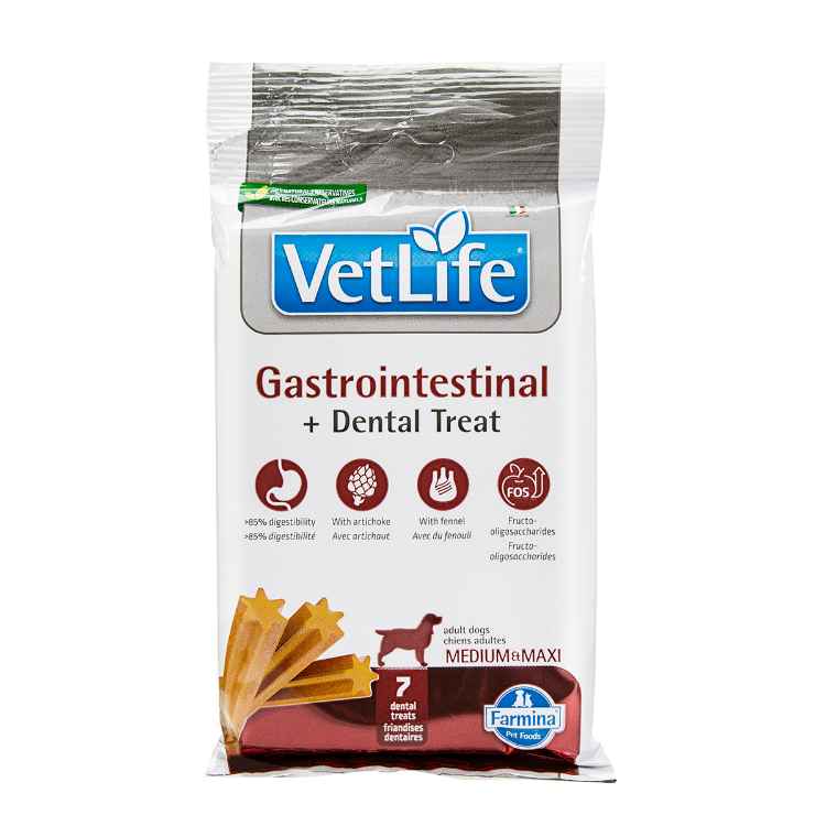 Picture of TREAT CANINE VETLIFE Gastrointestinal + Dental Med/Maxi - 100g
