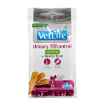 Picture of TREAT CANINE VETLIFE Urinary ST Control Mini - 60g