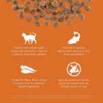 Picture of FELINE GO! SKIN & COAT CHICKEN GF SALMON RECIPE  - 8lb