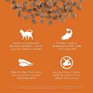 Picture of FELINE GO! SKIN & COAT CHICKEN GF SALMON RECIPE  - 8lb