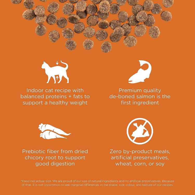 Picture of FELINE GO! SKIN & COAT CHICKEN GF SALMON RECIPE  - 8lb