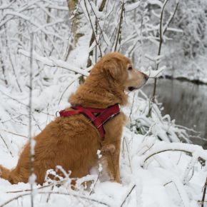 Picture for category Winter Faves