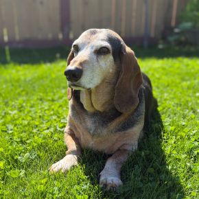 Picture for category Senior Health Month! 