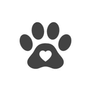 Picture for category Staff Picks