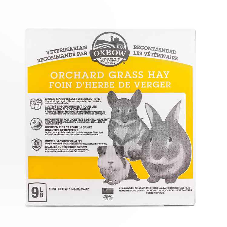 Picture of OXBOW ORCHARD GRASS HAY - 9lb/4.10 kg