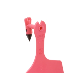 Picture of ALLFLEX  A-TAG FEEDLOT V2 one piece DARK PINK BLANK - 50/bag