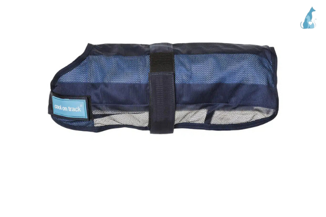 Picture for category Back On Track