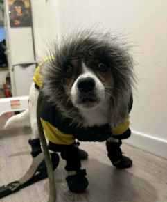 Picture for category Winter Products