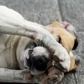 Picture for category Cleaning Supplies