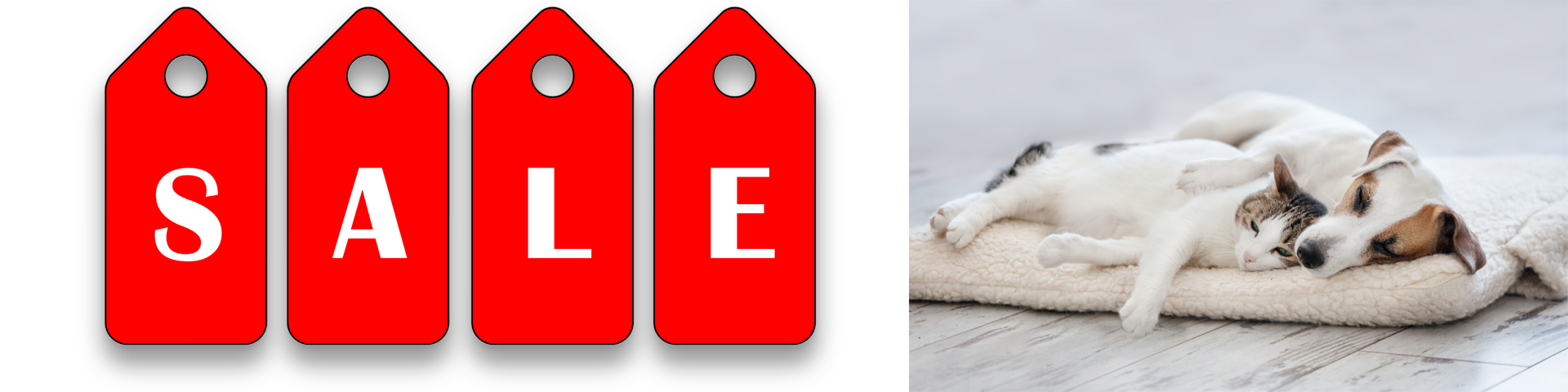 Picture for category ROYAL CANIN - FLASH SALE - Save Up To 35% on your First Order