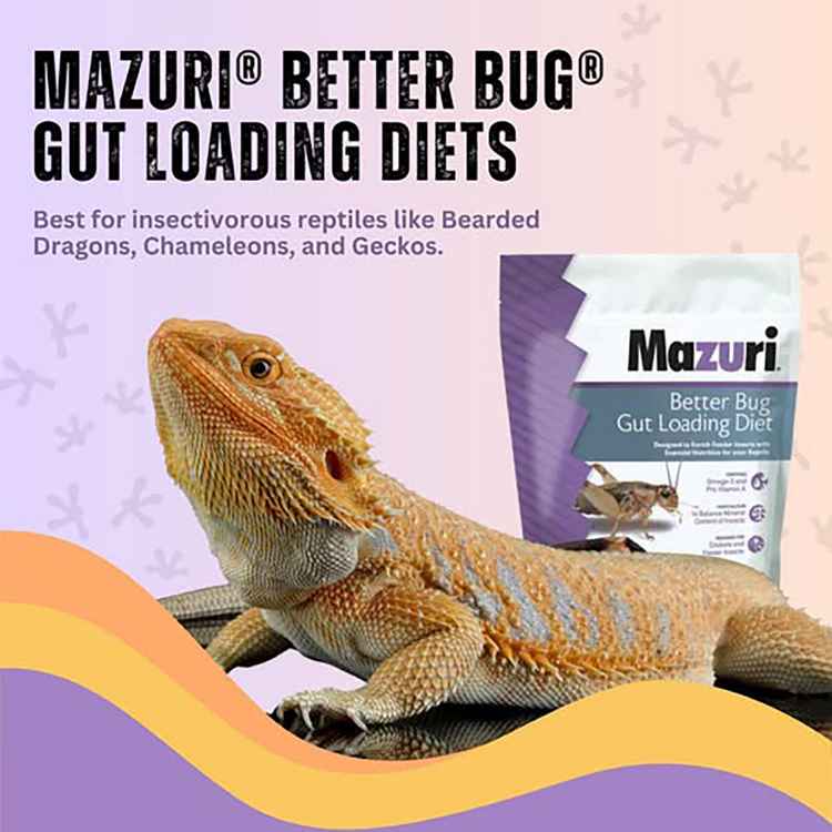 Picture of MAZURI BETTER BUG GUT LOADING DIET  - 8oz/226g