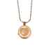 Picture of CREMATION JEWELRY PAWS on YOUR HEART PENDANT - Rose Gold