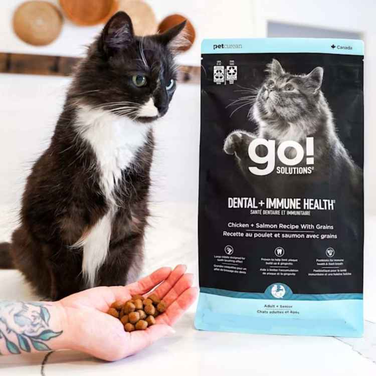 Picture of FELINE GO! DENTAL & IMMUNE HEALTH CHICKEN/SALMON - 2.5lbs