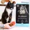 Picture of FELINE GO! DENTAL & IMMUNE HEALTH CHICKEN/SALMON - 6lbs