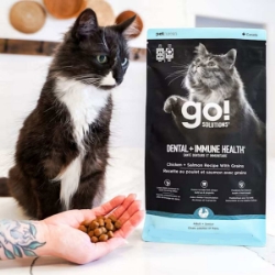 Picture of FELINE GO! DENTAL & IMMUNE HEALTH CHICKEN/SALMON - 6lbs