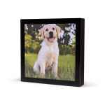Picture of CREMATION URN Quatro Photo Frame - Black