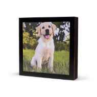 Picture of CREMATION URN Quatro Photo Frame - Black